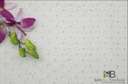 White Cotton Hakoba Embroidery Fabric