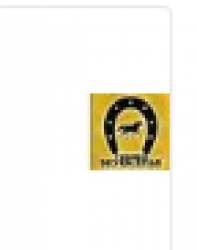 Tembo Exim Private Limited logo icon