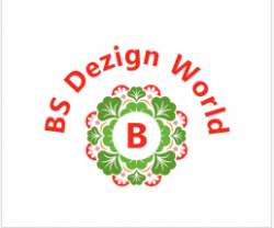 BS Dezign World logo icon