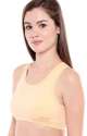 The Chennai Silk Ladies Sports Bra thumb 1
