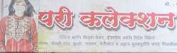 Pari Collection logo icon