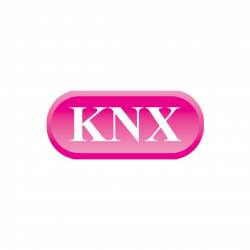 Kaushalya Nx logo icon