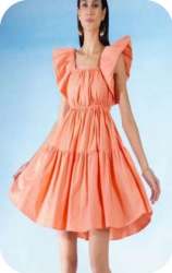 Fancy ruffles sleeve one piece dress 