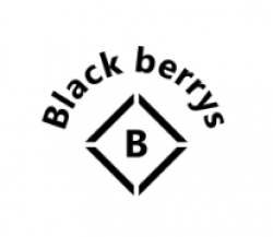 Blackberrys logo icon