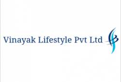 Vinayak Lifestyle Pvt Ltd logo icon
