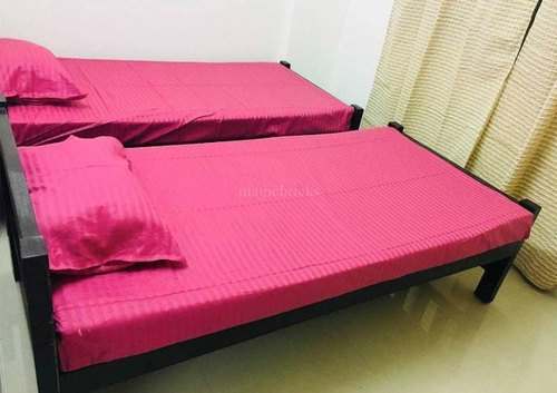 60*90 Single Bed Sheet 