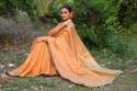 Elegant Soft Maheswari Silk Saree thumb 11