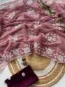 Beautiful pure Burberry Jimmy choo Saree With Sequence Work thumb 8