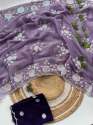 Beautiful pure Burberry Jimmy choo Saree With Sequence Work thumb 9