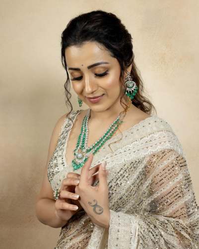 New Collection White Butterfly Sequence Embroidery Saree
