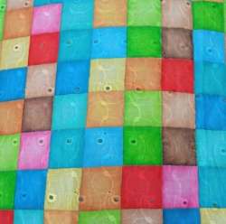 Hakoba Chikan Fabric 