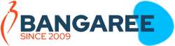 Bangaree Infotech Solutions logo icon