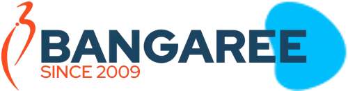 Bangaree Infotech Solutions