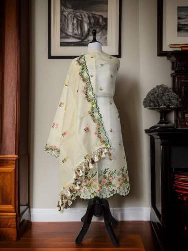 Banarasi orgazna embroidery suit