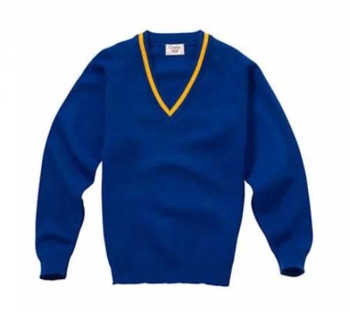 Plain Blue Kids Boys Sweater