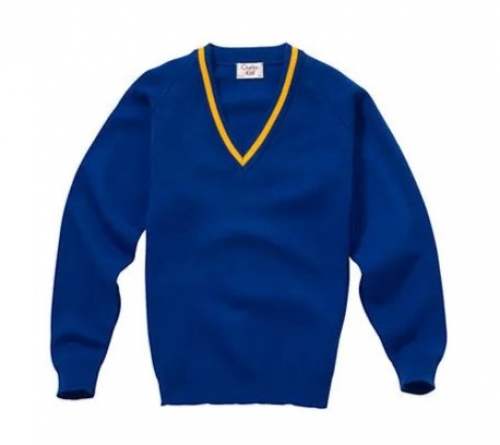 Plain Blue Kids Boys Sweater by D K CHHABRA HOSIERY