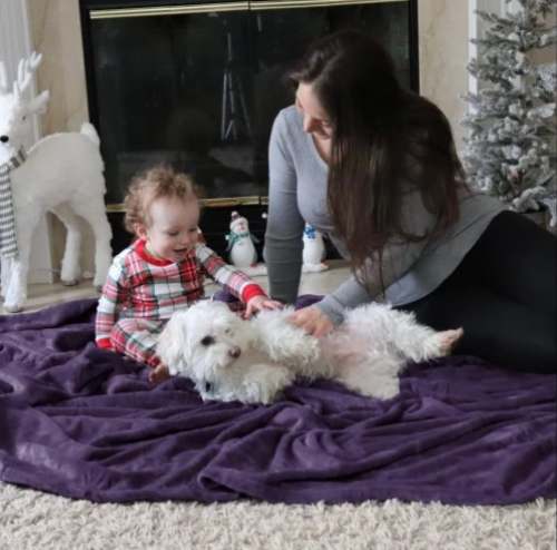 Avior Polyestern Single Blanket