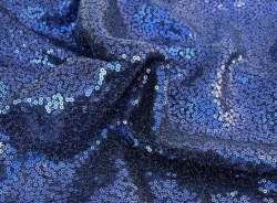 All Over Sequence Net embroidered Fabric 