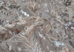 Sequence Net Embroidered Fabric 