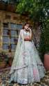 ladies-party-wear-light-green-net-lehenga-choli