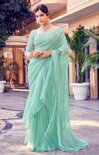 Ladies Fancy Organza Saree by Geeta Silk House