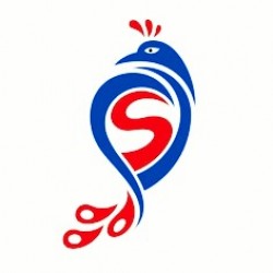 S S Selection logo icon