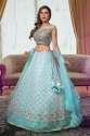 Ice Blue Net Lehenga Choli