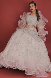 Ivory Pink Net Lehenga Choli