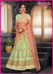 Net anarkali chaniya choli