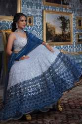 Stunning Powder Blue Net Lehenga Choli