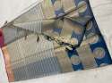 Banaras tissue silk saree warp multi stripe