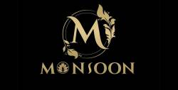 MONSOON FABRICS PRIVATE LIMITED logo icon