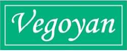 Vegoyan logo icon