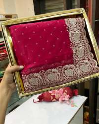 Beautiful Zari Work With Aarco Border Jimmy Choo saree