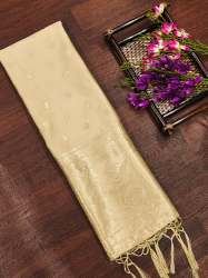 CHIKU BANARASI SILK DUPATTA WITH PAITHNI TOUCH