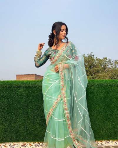  Launching New Superhit Classical Design Butterfly Net Sare