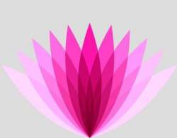 Tirupati Textile Agency logo icon