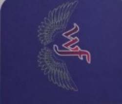 Wings Fabric logo icon