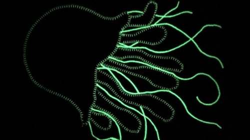 GLOW IN THE DARK EMBROIDERY 
