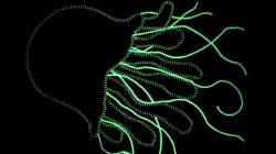 GLOW IN THE DARK EMBROIDERY 