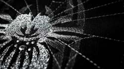 REFLECTIVE EMBROIDERY JOB WORK