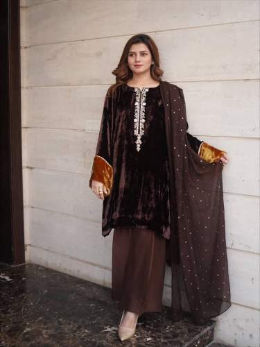 Velvet Sequence Embroidery Work Palazzo Suit