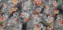 gray-flower-digital-printed-fabric