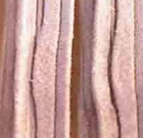 Cotton Fabrics