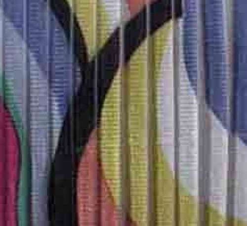 MARUTI PROCESSORS fancy printed fabric