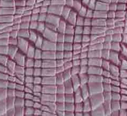 Knitted Fabric