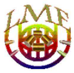 L M ENTERPRISE logo icon