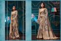 organza-printed-saree-by-joh-rivaaj-jyoti-series