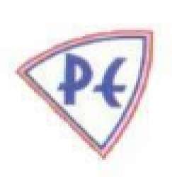 Pabla Enterprises logo icon