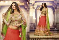 Ladies Designer Lehenga